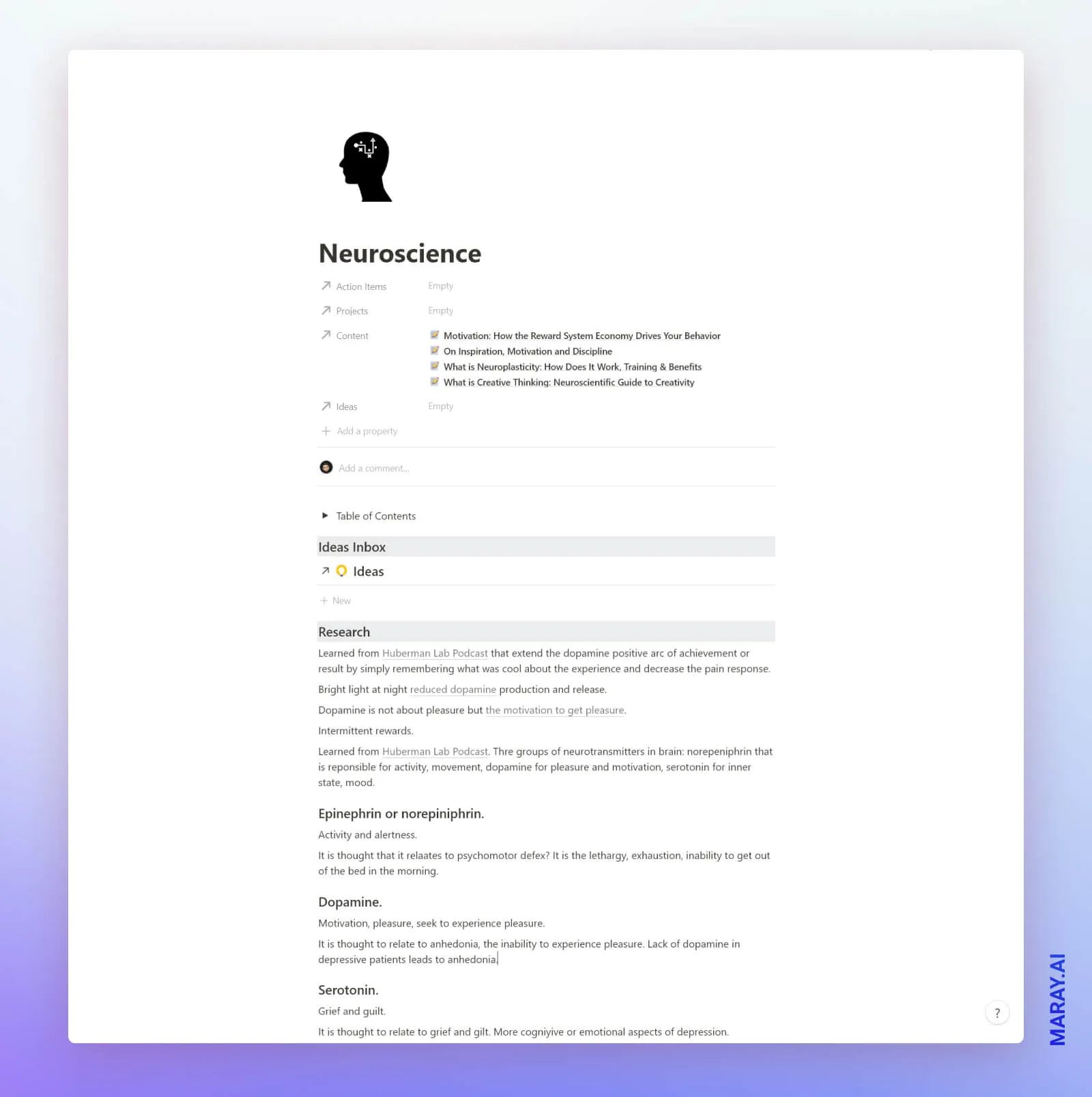 Example of knowledge system page in Notion.