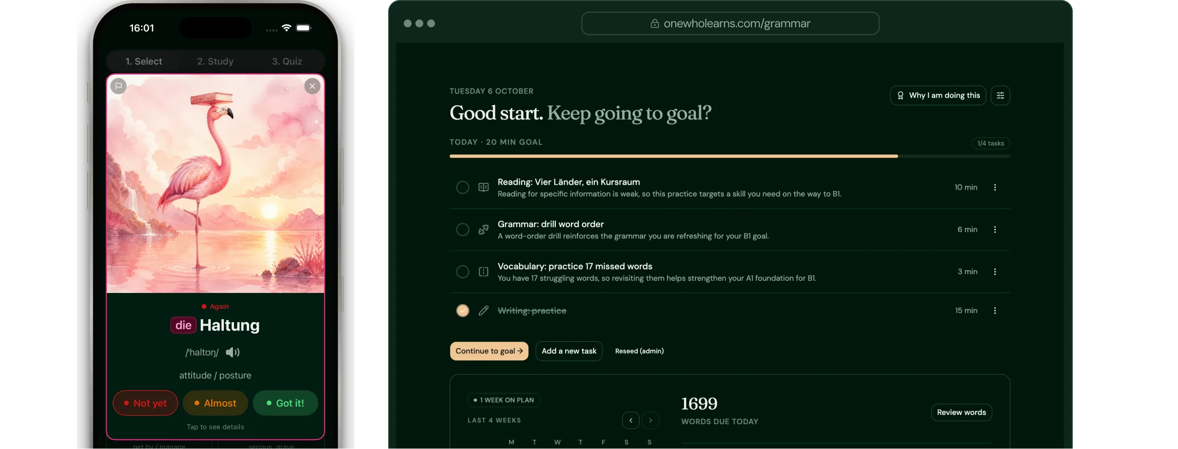One Who Learns on an iPhone, showing a flashcard for the word Haltung, next to the web app showing the daily study plan.