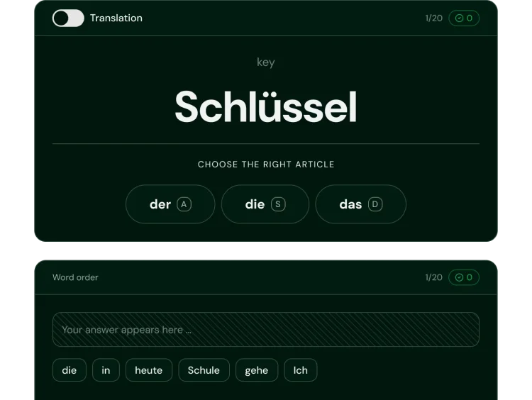 A grammar drill in the web app, practising articles and cases.