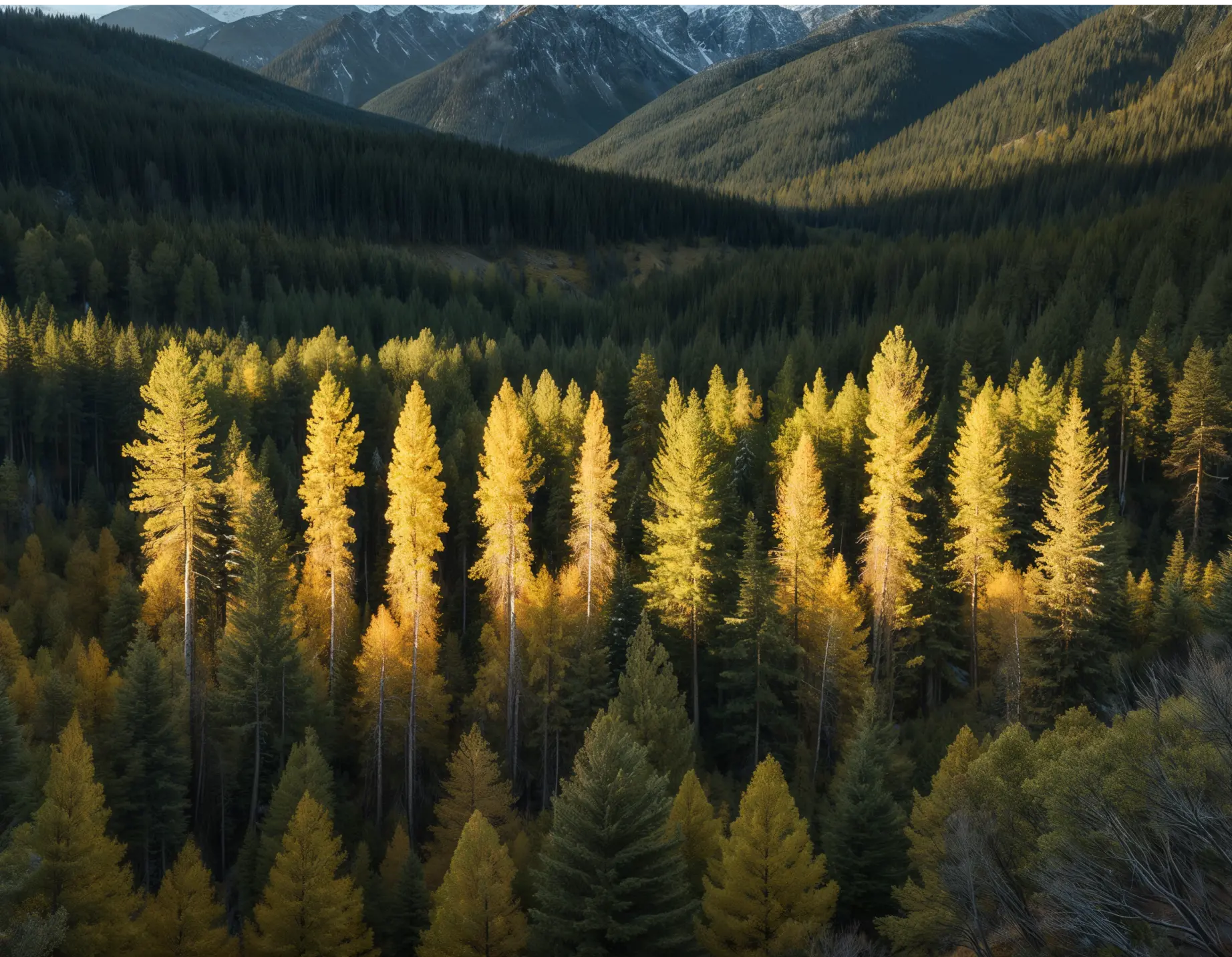 A cover image for Fijordo project, a a client acquisition system for a new consulting firm. 