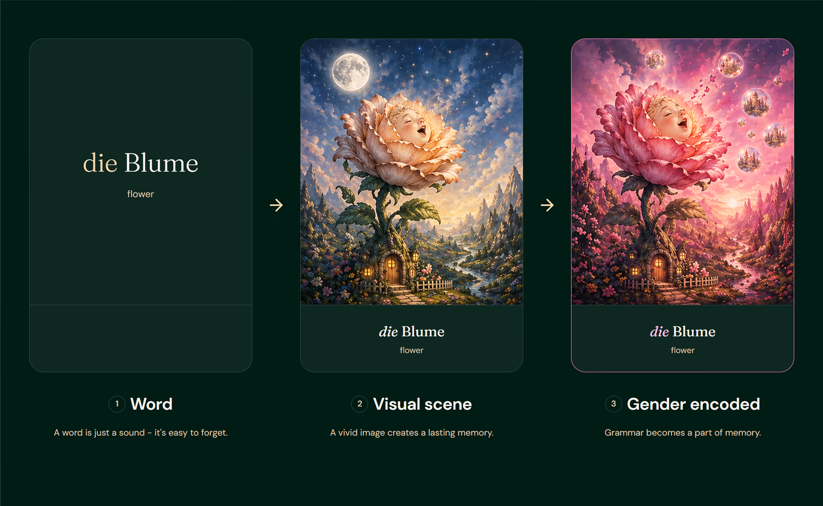 The flashcard concept: die Blume as a word, then a visual scene, then a gender-encoded scene