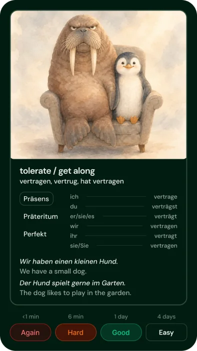 The redesigned flashcard, back: the walrus and penguin picture, the meaning “tolerate / get along”, verb conjugation tables, two example sentences and Again, Hard, Good, Easy buttons with review intervals.
